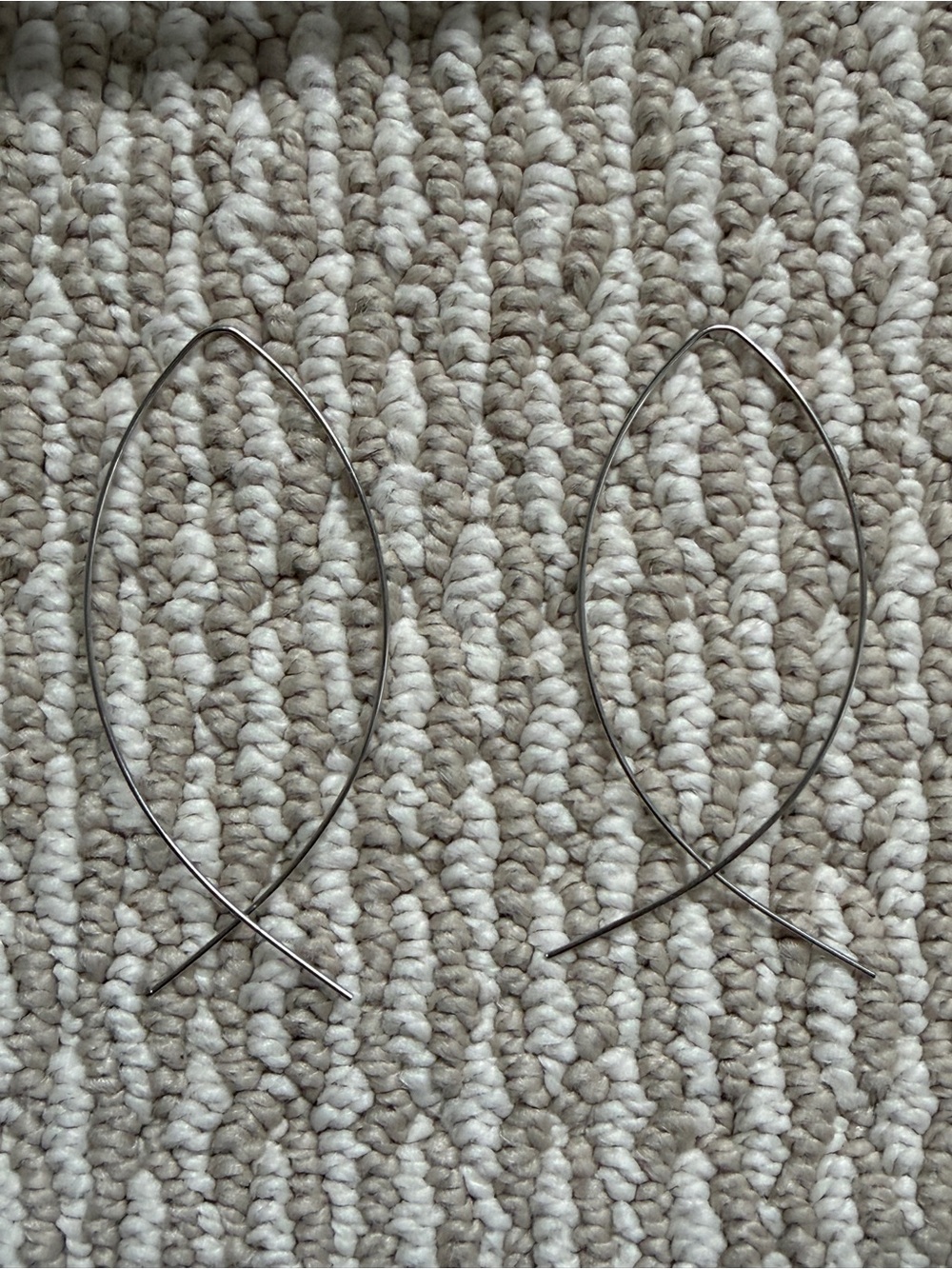 Silver Fish-Shaped Hoop Earrings for Pets Fish Decor